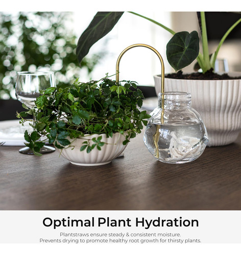 Riego Automático Mecha Para Plantas Diseño Escandinavo Mmg