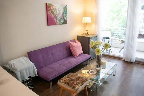 Arriendo Depto Amoblado 1 Habitación - Santiago (4238)