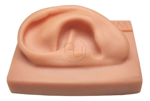 Oreja de silicona, mapa de auriculoterapia plastificado A4