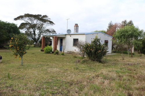 Campo 8,5 Has Con Casa, Galpones Y Tajamares Ruta 7 Km 40