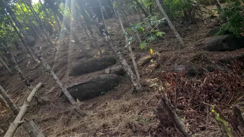 Terreno Em Ilhabela