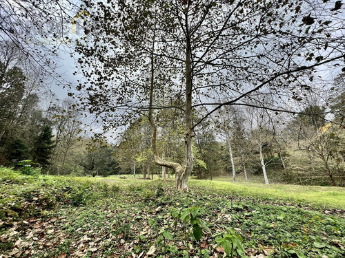 Rancho En Venta En Rancho Viejo Xolostla 10 Minutos De Xalapa Zona Coapexpan.