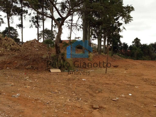 Imagem 4 de 6 de Área 2.740m² (zis) Próx. Ao Centro De Cotia (km 32 Rap. Tavares) - 716