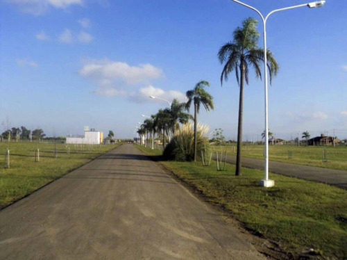 Imagen 6 de 12 de Terrenos En Punta Chacra Roldan