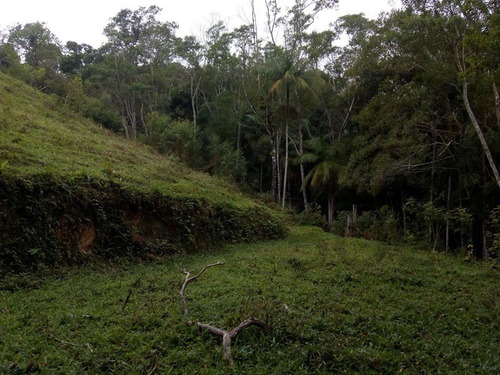 Imagem 13 de 30 de Sítio À Venda Em Juquitiba! - 172 - 34443922