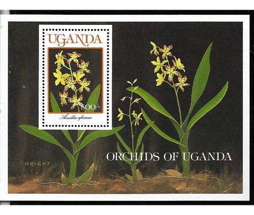 #8216 Uganda 1989 Flora Flores Orquideas Hoja Yv Bl100 Mnh