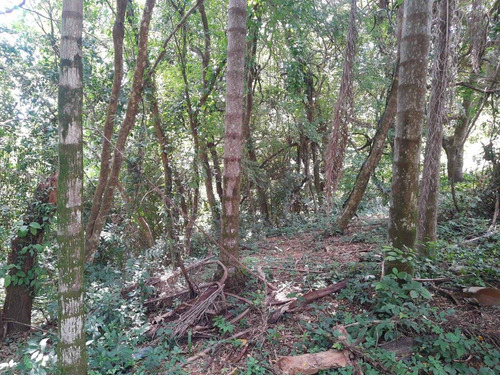 Imagem 12 de 12 de Chácara Com 3.200 M² Com Rio No Fundo Em Artur Nogueira - Sp - 1423