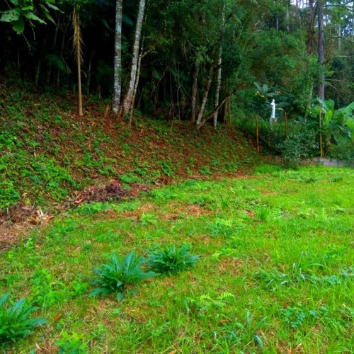 Imagem 7 de 14 de Chácara 3.000m² Muito Bem Localizada C/ Ótima Topografia