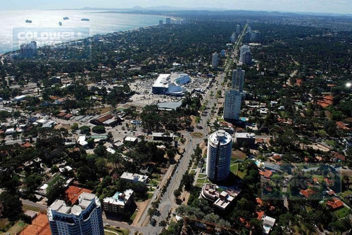 Apartamento De 1 Dormitorio En Venta En Punta Del Este