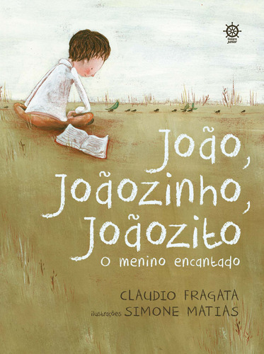 João, Joãozinho, Joãozito: O menino encantado, de Fragata, Claudio. Editora Record Ltda., capa mole em português, 2016