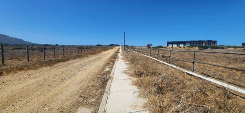 Parcela Frente Al Mar, Condominio Punta De Galllo Tunquen