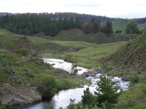 Imagen 1 de 9 de Vendo Campo 10,5 Ha San Miguel Del Rio