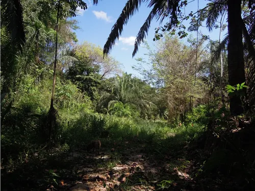 Venta Lotes Con O Sin Casa, Agua, Luz, Klm 15 Via Minca