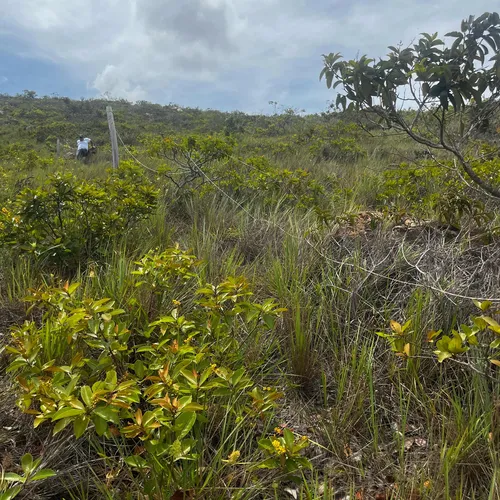 Lote 2100 Mts2 Con Escritura Vereda Espinal Los Santos
