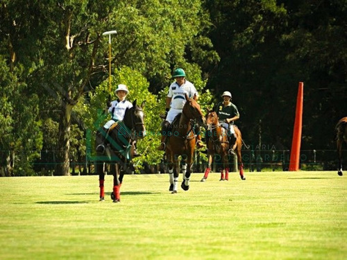 Imagen 12 de 29 de Carmelo - Carmelo Golf - Ref: 1046