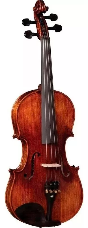 Terceira imagem para pesquisa de violino eagle vk 544