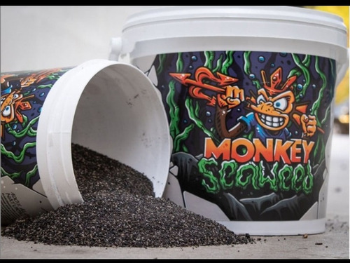 Imagen 1 de 4 de Algas Monkey Seaweed 500g Suelo Vivo