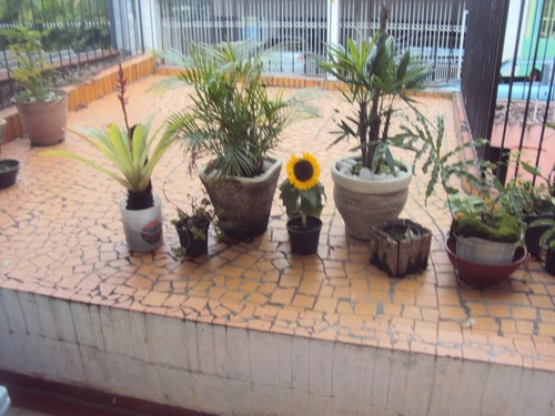 Imagem 4 de 14 de Casa Sobrado Para Venda, 2 Dormitório(s) - 132