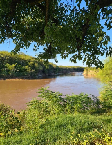Campo Ganadero En Carcaraña. Con Quincho Y Casa