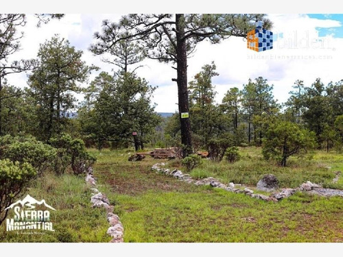 Imagen 7 de 10 de Terreno En Venta Sierra Manantial