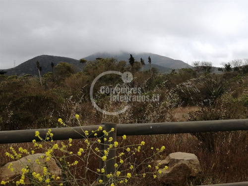 Sitio Venta Rocas Del Mar - Los Molles