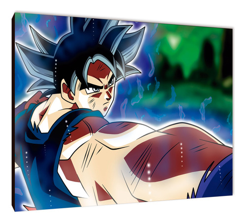 Cuadros Anime Dragon Ball Xl 33x48 (dbll (16))