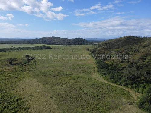 Finca En Venta Sabana De Parra Yaracuy Rah 23-14891 // Invierta Seguro Con Rentahouse//