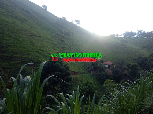 Imagem 13 de 15 de Belo Sítio Em Marmelópolis - Mg - 1247