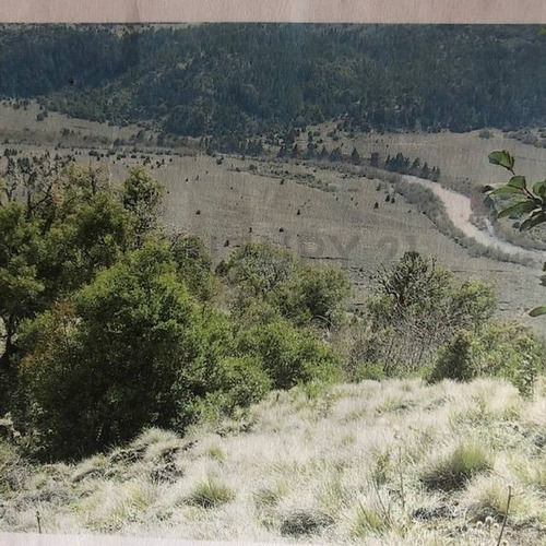 Imagen 5 de 24 de La Última Joya De Smandes, 160 Ha 3 Km Costa Río Quilquihue A 15 Min Centro