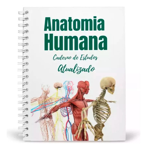 Caderno De Estudos Anatomia Humana Aplicada Fisioterapia