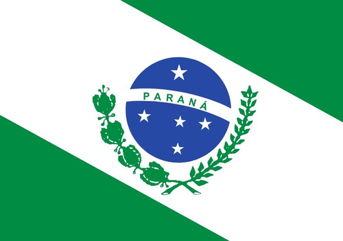 Bandeira Paraná Oficial Bordada 2 Panos Alta Qualidade