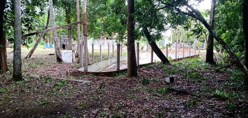 Imagem 8 de 13 de Sitio Terreno