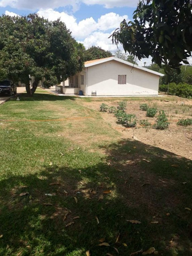 Imagem 3 de 27 de Sitio Campinas Antes Do Pedagio De Jaquariuna 46 Hectares - 42655