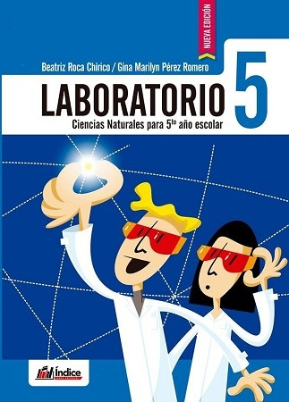 Laboratorio 5*.. - Beatriz Roca Chírico