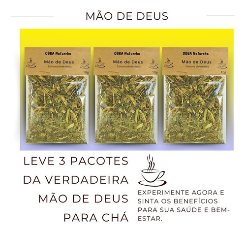 Kit Com 3 Chás Mão De Deus | Verdadeiro Margaridão-amarelo
