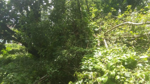 Imagem 12 de 14 de Terreno Para Locação Em Nova Descoberta Com 2200 M² Por R$ 13.000/mês - Nova Descoberta - Recife/pe - Te0051