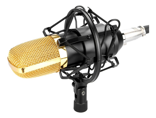 Micrófono Negro Para Grabación De Sonido Con Condensador Fif