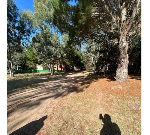 Imagen 6 de 10 de Lote En Venta
