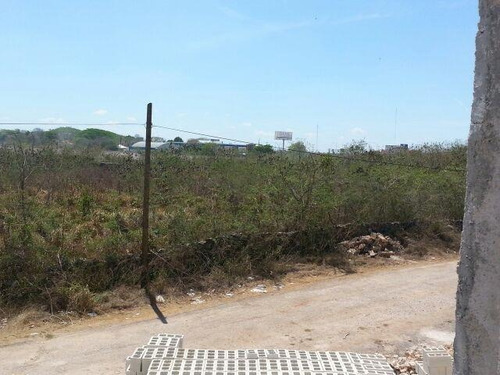 Imagen 3 de 3 de Terreno En Venta Santa Gertrudis Copo, Mérida Yucatán