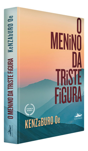 O Menino Da Triste Figura