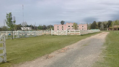 Imagen 6 de 14 de Gb Propiedades- Excelente Lote En Venta!!