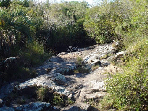 Imagen 8 de 18 de Campo 98 Has Con 2891 M2 En Carape Cuenta Con Costa De Arroyo.