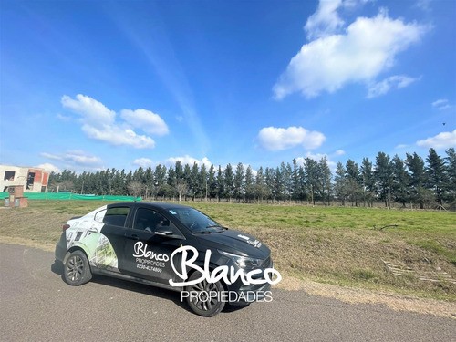Terreno Lote En Venta En Matisse Barrio Privado, Campana, G.b.a. Zona Norte