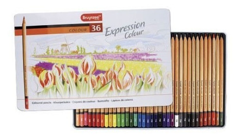 Lápices De 36 Colores Bruynzeel / Caja Metálica