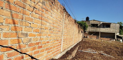 Imagen 14 de 15 de Lote Dharma