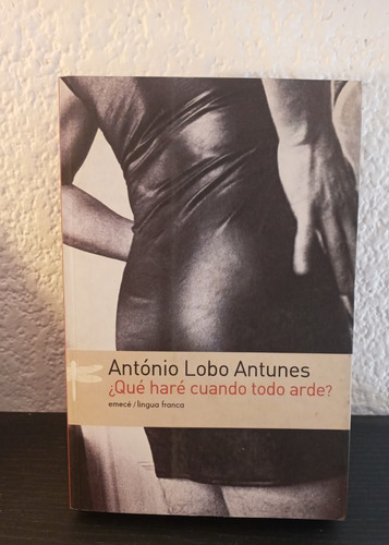 Qué Haré Cuando Todo Arde? - António Lobo Antunes