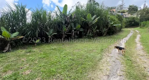Terreno En Venta San Antonio