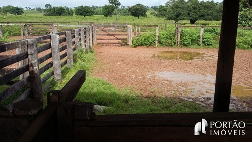 Imagem 9 de 15 de Fazenda À Venda - Zona Rural, Alcinópolis-ms - 5171