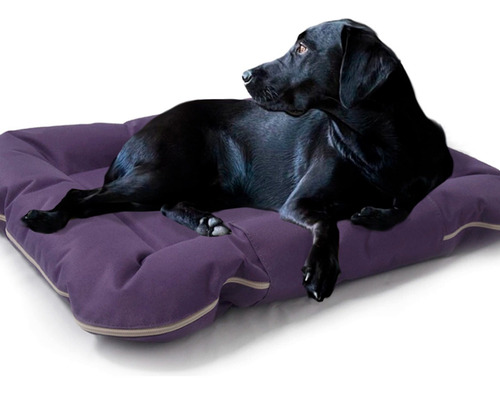 Cama Colchones Moises Perros Gato Durabilidad Diseño Calidad Color Violeta Diseño Colchon