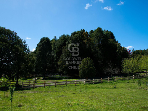 Inmersas En Bosque, Con Orilla De Rio Y Vista Al Lago.